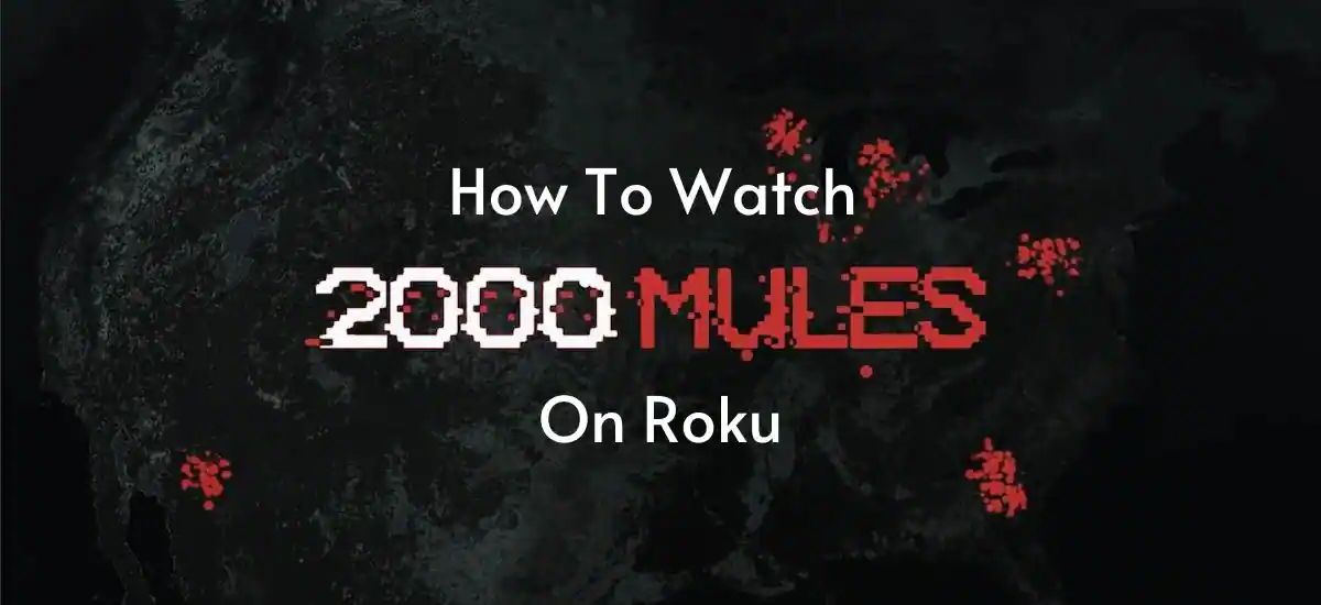 How To Watch 2000 Mules On Roku