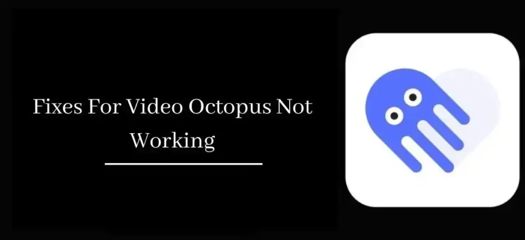 Video Octopus Is Not Working